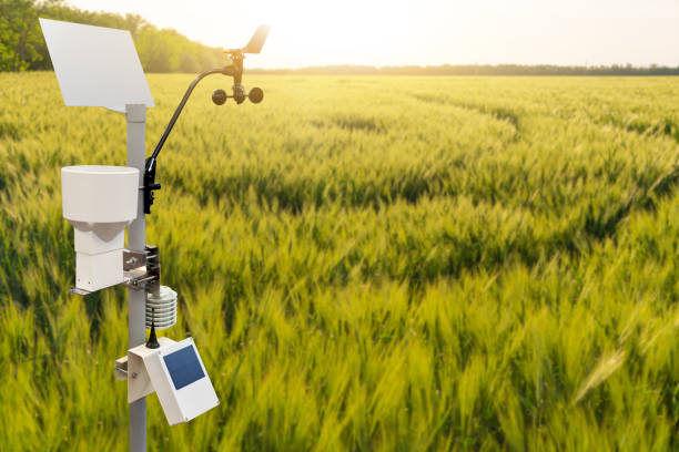 Weather station in a wheat field. Precision farming equipment