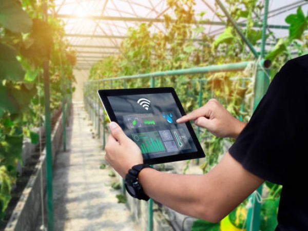.Man hands holding tablet on blurred organic farm as background