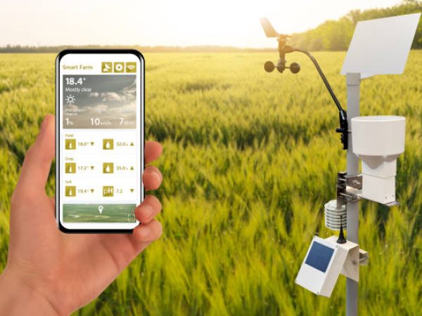 Farmer control weather station via mobile app. Precision and smart farming equipment