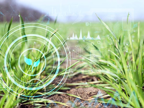 the concept of growing crops in the field, monitoring and analyzing data using sensors and artificial intelligence to obtain a high yield